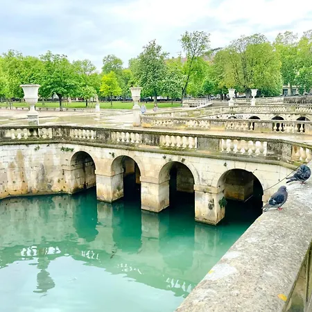 Ni'douillet-p3 Terrasse Et Climatise-coeur De Nîmes